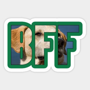 BFF Golden Retriever Photography Typography Pet Dog Sticker